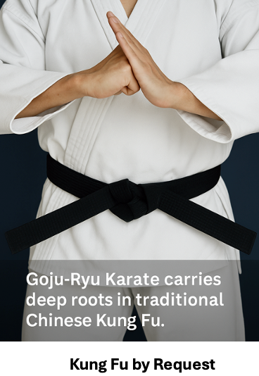 Kung Fu by Request program training at Double Dragon Karate Institute dojo in Sunrise Florida