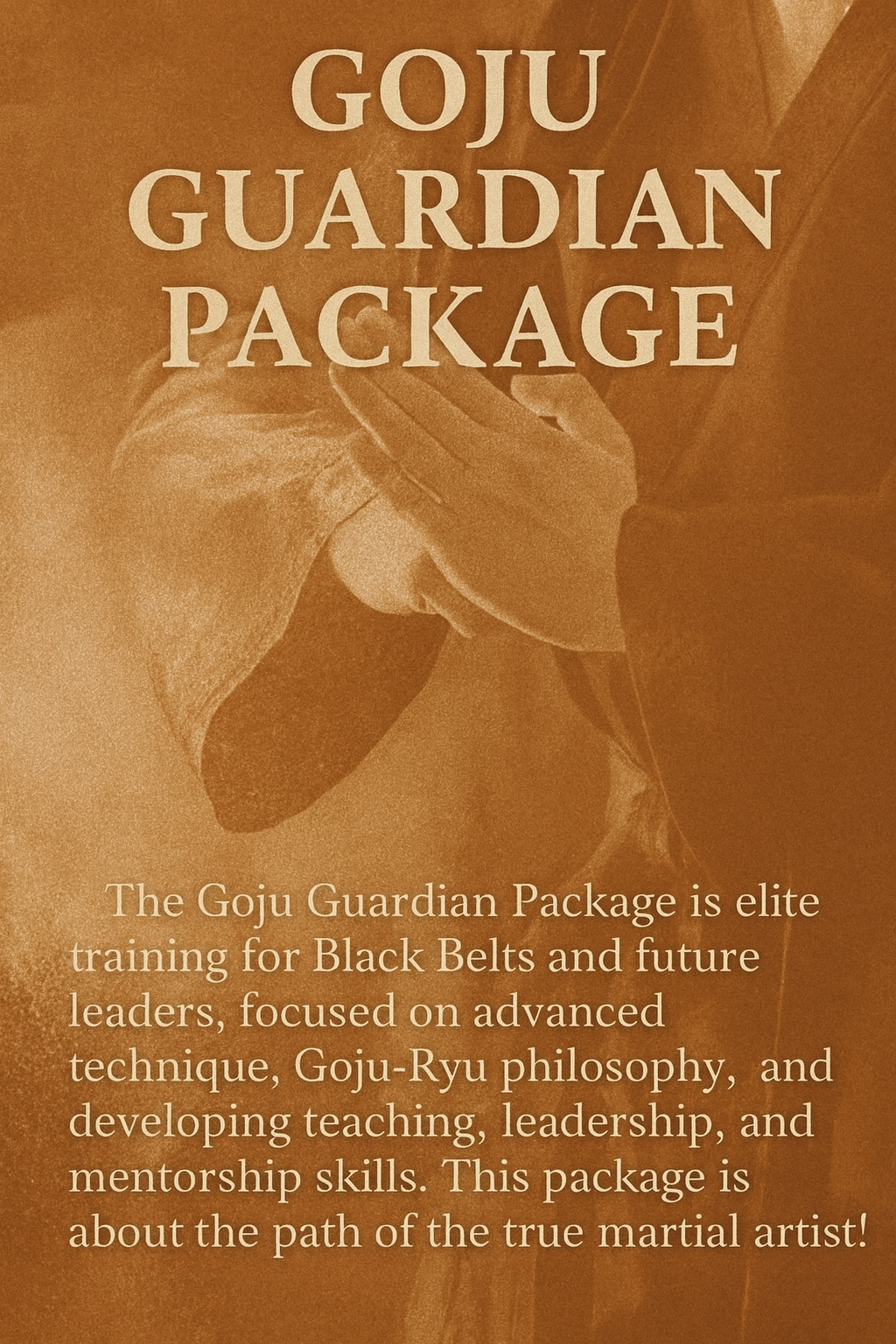 Goju Guardian karate training program at Double Dragon Karate Institute in Sunrise Florida