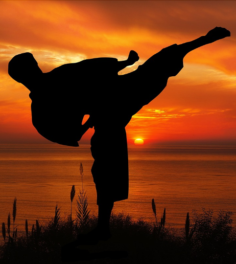 Children practicing Goju-Ryu karate at Double Dragon Karate Institute in Sunrise FL